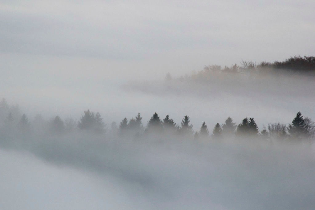 Quand la foret et les rivières étaient encore source de vie